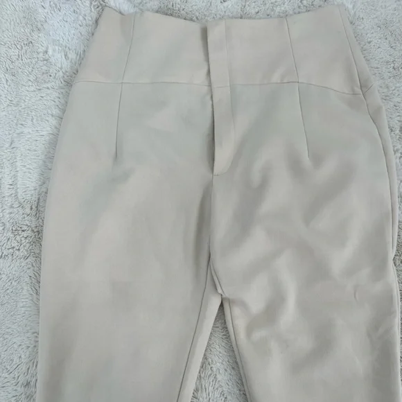 Zara | Cinched Waist Pants | Lightly Used - Picture 1 of 2